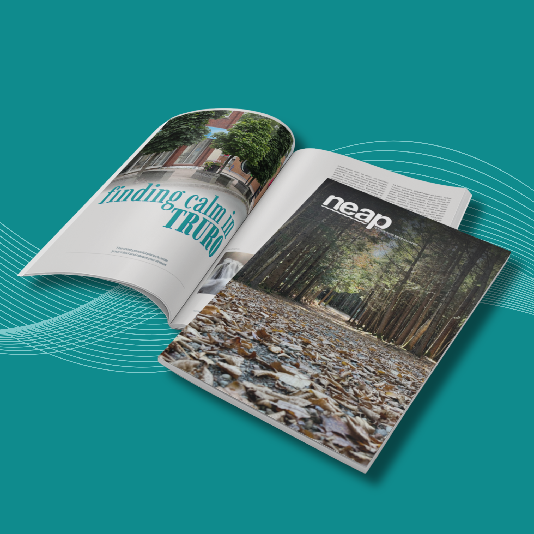 Neap Magazine - Fall 2026 Issue